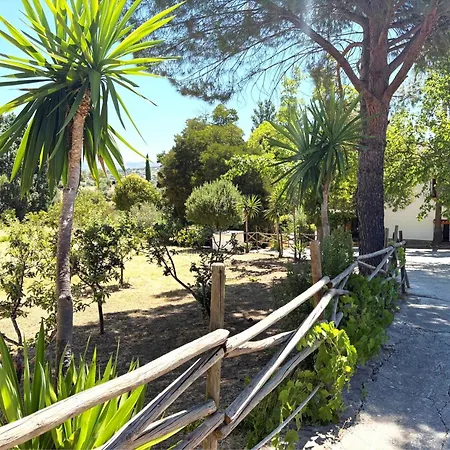 Xxvi- La Cantara - La Cantara Azul * Ronda